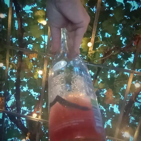 L'uliveto Sui Trabocchi