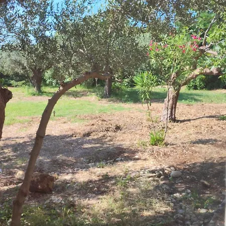 L'uliveto Sui Trabocchi Fossacesia