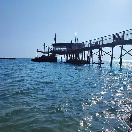 L'uliveto Sui Trabocchi Fossacesia