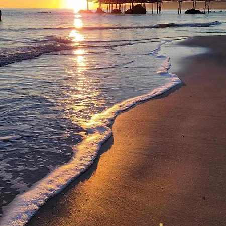 L'uliveto Sui Trabocchi *