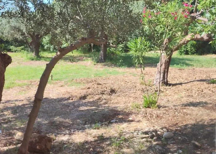 L'uliveto Sui Trabocchi フォッサチェージア