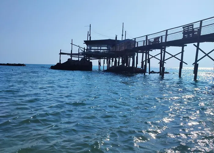 L'uliveto Sui Trabocchi 福萨切西亚
