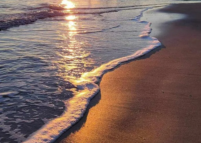 L'uliveto Sui Trabocchi *
