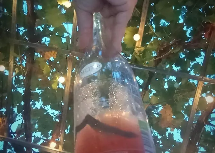 L'uliveto Sui Trabocchi